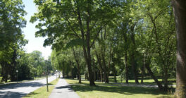park-form-04
