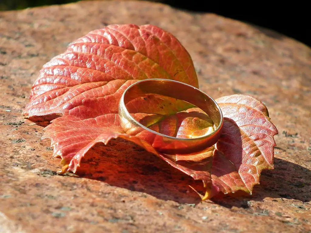 Ein rotes Ahornblatt mit einem goldenen Ring darauf.