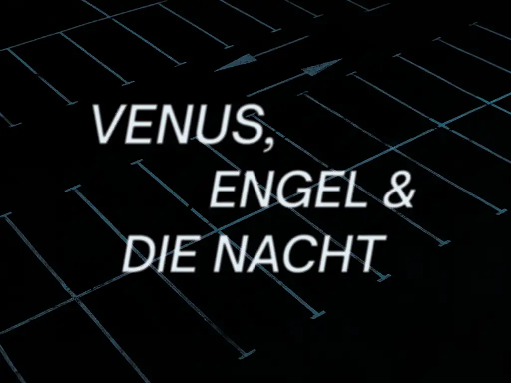 dunkles Bild mit dem Muster einer Parkfläche im Hintergrund und dem Schriftzug VENUS, ENGEL & DIE NACHT